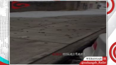 غافلگیری ساکنان نیویورک از دیدن مدفوع در پیادهروها پس از آب شدن برف/مدفوع/نیویورک/پیادهرو/برف/خیابان