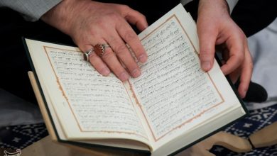 برگزاری نمایشگاه تعاملی «پیامبَر آیهها باشیم» در قزوین / اخبار قزوین - اخبار استانها