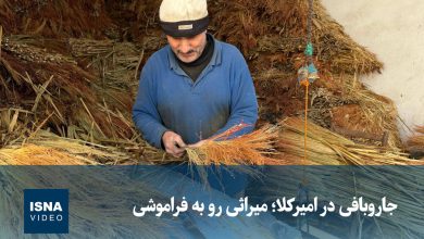 جاروبافی در امیرکلا؛ میراثی در آستانه فراموشی / جاروبافی , امیرکلا , صنایع دستی , میراث فرهنگی , فراموشی