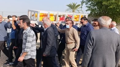 مادر شهید امرالله بهادر از شهدای شبانکاره دشتستان به فرزند شهیدش پیوست / اخبار بوشهر - اخبار استانها