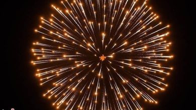 اصفهان در شب میلاد امام زمان(عج)؛ توزیع کیک 110 متری+فیلم / اخبار اصفهان - اخبار استانها