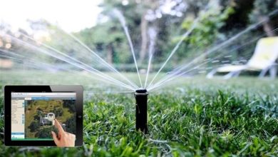 به پیشواز نوروز در اهواز؛از حاشیه کارون تا بهارستان+فیلم / اخبار خوزستان - اخبار استانها