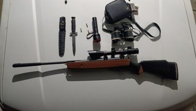 دستگیری 7 شکارچی غیرمجاز در اسکو و سراب؛ کشف لاشه و سلاح / اخبار آذربایجان شرقی - اخبار استانها