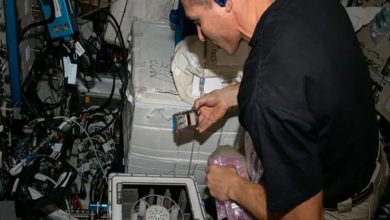 آزمایش موفقیتآمیز «معدنکاری زیستی» در فضا؛ میکروبها فلزات گرانبها را از شهابسنگ استخراج کردند / استخراج فضایی , میکروارگانیسمها , ایستگاه فضایی بینالمللی , پالادیوم , فناوری فضایی