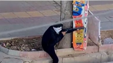 اسامی جانباختگان حوادث دیماه 1404 منتشر شد / اخبار سیاسی روز , اخبار دولت