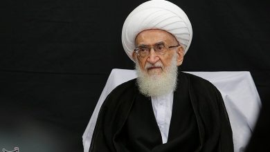 آیتالله نوریهمدانی: همه پشت سر رهبر معظم انقلاب حرکت کنند / اخبار قم - اخبار استانها