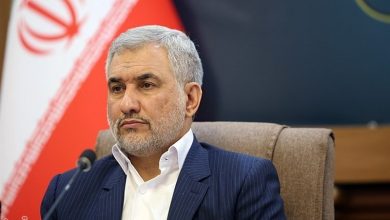 اسماعیلی: ملت ایران با حضور خود دشمن را ناامید می کند / اخبار سیاسی روز , اخبار دولت