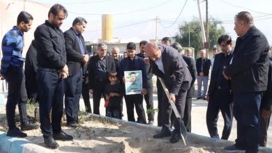 پویش ملی «سرو ایران» به یاد رهبر شهید در دشتی برگزار شد / اخبار بوشهر - اخبار استانها
