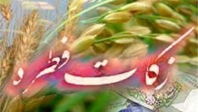 آمادگی 1200 پایگاه کمیته امداد برای جمعآوری زکات فطریه در مرکزی / اخبار مرکزی - اخبار استانها