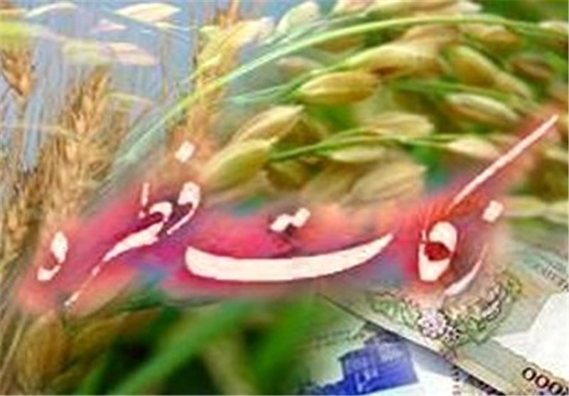 آمادگی 1200 پایگاه کمیته امداد برای جمعآوری زکات فطریه در مرکزی / اخبار مرکزی - اخبار استانها
