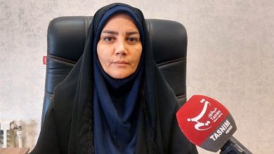 سیره رهبر شهید انقلاب نقشه راه حمایت از تولیدات فرهنگی است / اخبار استان تهران - اخبار استانها