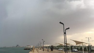صدور 2 هشدار هواشناسی سطح زرد و دریایی سطح نارنجی در استان بوشهر / اخبار بوشهر - اخبار استانها