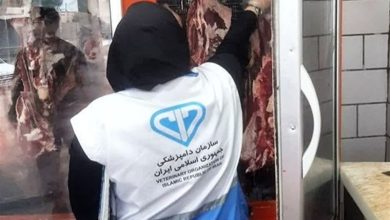 معدومسازی بیش از یک تن فرآورده غیربهداشتی در استان بوشهر / اخبار بوشهر - اخبار استانها