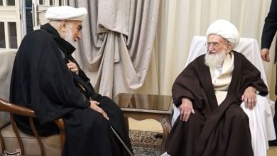 تأکید آیتالله نوری همدانی بر حمایت همه جانبه از مقام معظم رهبری / اخبار قم - اخبار استانها