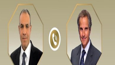 رایزنی «گروسی» و وزیر خارجه مصر درباره پیامدهای تحولات اخیر بر منطقه /