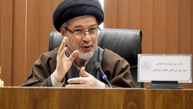 عاملی: چه باحجاب و چه کم حجاب، همه اراده ساختن ایران را دارند / اخبار سیاسی روز , اخبار سیاست داخلی