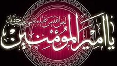 امام علی(ع) بعد از ضربت چه آیهای را نلاوت کردند؟ / اخبار قم - اخبار استانها