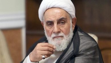 ناطق نوری شهادت علی لاریجانی را تسلیت گفت / اخبار سیاسی روز , اخبار دولت