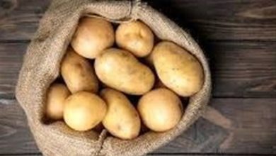 قیمت سیبزمینی 47 هزار تومان / توزیع 200 تنی در آذربایجان شرقی / اخبار آذربایجان شرقی - اخبار استانها