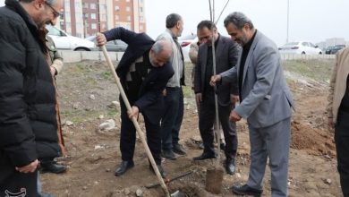 کاشت 85 نهال در شریفآباد به یاد رهبر شهید انقلاب / اخبار قزوین - اخبار استانها