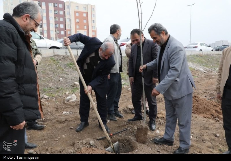 کاشت 85 نهال در شریفآباد به یاد رهبر شهید انقلاب / اخبار قزوین - اخبار استانها