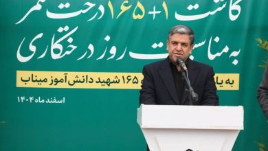 1.5 میلیون اصله نهال تولید و توزیع میشود / اخبار اردبیل - اخبار استانها