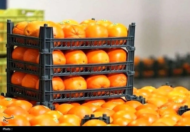 تداوم توزیع میوه ایام پایانی سال تا پایان تعطیلات نوروز در فارس / اخبار فارس - اخبار استانها