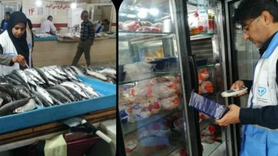 322 کیلوگرم فرآورده دام غیربهداشتی در کنگان معدومسازی شد / اخبار بوشهر - اخبار استانها