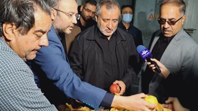 بازدید استاندار خراسان جنوبی از ذخایر کالاهای اساسی و روند تأمین سوخت / اخبار خراسان جنوبی - اخبار استانها