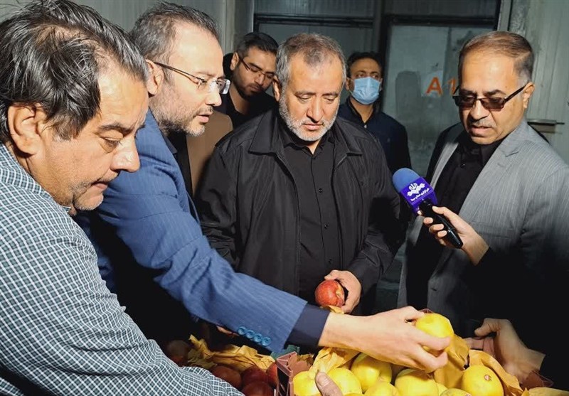 بازدید استاندار خراسان جنوبی از ذخایر کالاهای اساسی و روند تأمین سوخت / اخبار خراسان جنوبی - اخبار استانها