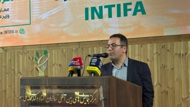 3 دانشگاه کشور پایلوت زیست بوم نوآوری میشوند / اخبار سیاسی روز , اخبار حوزه علمیه و دانشگاه