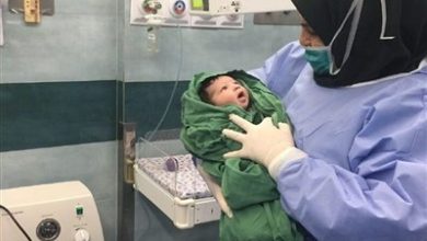 خبری خوش برای ماماها؛اجرای طرح پزشک خانواده با محوریت ماما در کرمانشاه / اخبار کرمانشاه - اخبار استانها