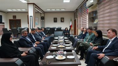 شتاب روند ساخت و تجهیز کتابخانههای عمومی استان بوشهر / اخبار بوشهر - اخبار استانها