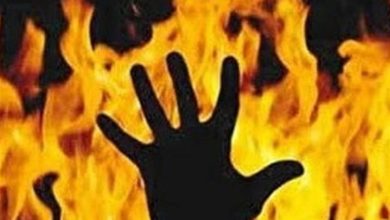 سوختگی در استان بوشهر جان 33 نفر را گرفت / اخبار بوشهر - اخبار استانها