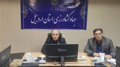 تکمیل و بهرهبرداری از 540 طرح اقتصادی در اردبیل / اخبار اردبیل - اخبار استانها