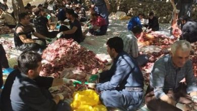 «بانهوره»؛ گنجینه ناملموس وحدت و عدالت در آیین قربانی / اخبار کرمانشاه - اخبار استانها