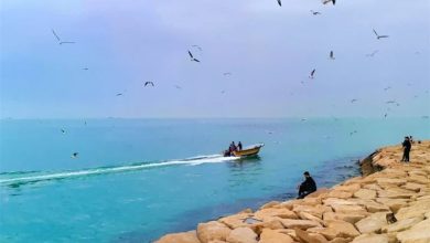 آرامش جوی و دریایی بوشهر تا ظهر پنجشنبه ادامه دارد / اخبار بوشهر - اخبار استانها