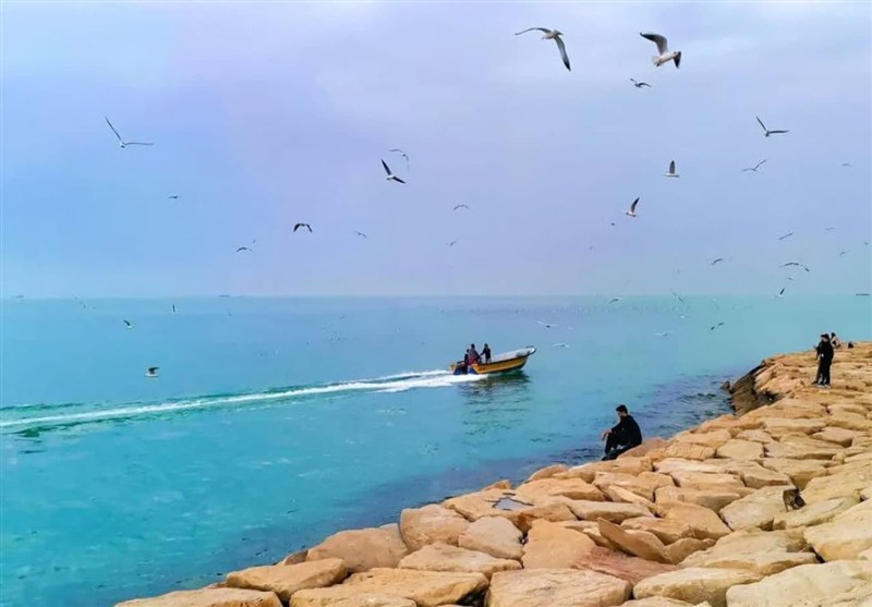 آرامش جوی و دریایی بوشهر تا ظهر پنجشنبه ادامه دارد / اخبار بوشهر - اخبار استانها