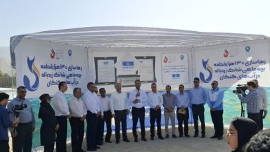 رهاسازی 130 هزار قطعه بچهماهی در سواحل بندر کنگان / اخبار بوشهر - اخبار استانها