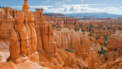 ژئوپارک جهانی قشم؛ پشتوانه توسعه پایدار جزیره / اخبار جزایر خلیج فارس - اخبار استانها