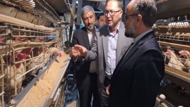 محتکران ارزاق مردم، دشمنان داخلی هستند / اخبار اردبیل - اخبار استانها