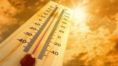 افزایش دما تا آستانه 50 درجه در استان بوشهر / اخبار بوشهر - اخبار استانها