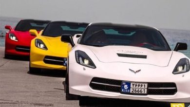پیشنهاد آزادسازی تردد خودروهای مناطق آزاد در چهار استان جنوبی / اخبار جزایر خلیج فارس - اخبار استانها