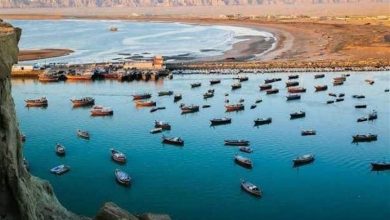 تداوم وزش باد و افزایش دمای هوا در استان بوشهر / اخبار بوشهر - اخبار استانها
