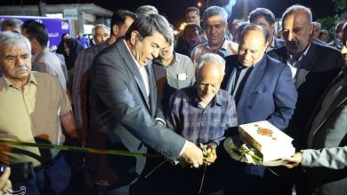 افتتاح پروژه روشنایی ورودی روستای دهزیار همزمان با سوگواره ملی تعزیه / اخبار کرمان - اخبار استانها