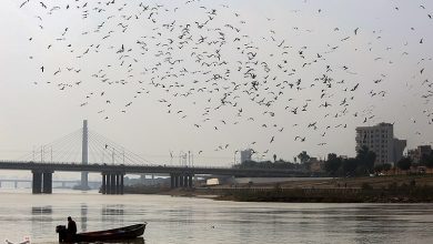 احیای ساحل کارون در کوتعبدالله وارد فاز اجرا شد / اخبار خوزستان - اخبار استانها