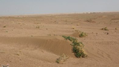 گسترش یک میلیون هکتاری بیابان در اصفهان در یک دهه / اخبار اصفهان - اخبار استانها