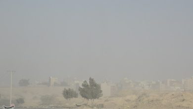 خیزش گرد و خاک تا جمعه در چهارمحال و بختیاری ادامه دارد / اخبار چهارمحال و بختیاری - اخبار استانها