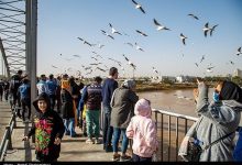 اهواز؛ شهری بر روی پلها، از تقاطع ترافیک تا تلاقی هنر و نور / اخبار خوزستان - اخبار استانها