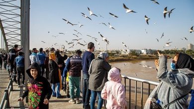 اهواز؛ شهری بر روی پلها، از تقاطع ترافیک تا تلاقی هنر و نور / اخبار خوزستان - اخبار استانها